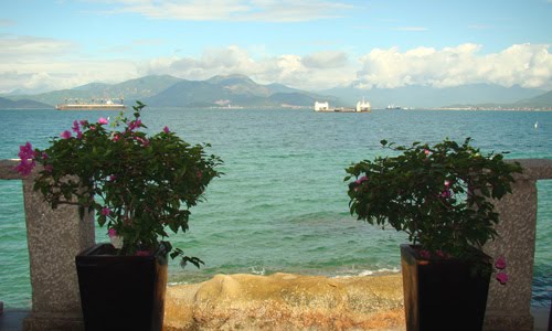 Cảnh nhìn từ phòng - Resort Yến Bay (Ngoc Suong Resort)
