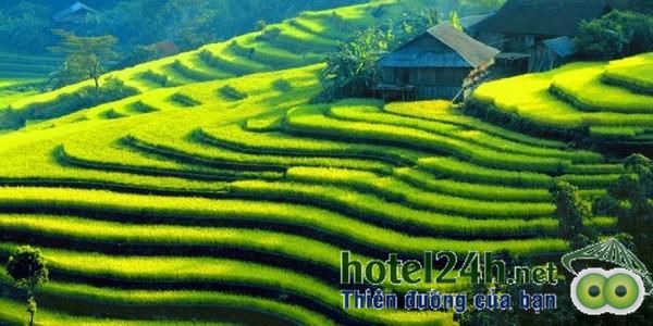 ghe-tay-bac-ngam-ruong-bac-thang-hotel24h-a2.jpg